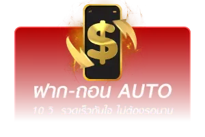 auto-wd-24-h