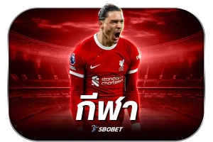 กีฬา